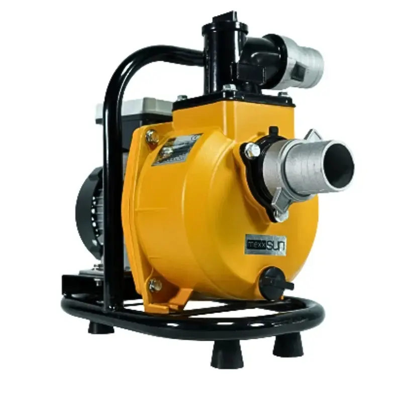 Mexxsun DC Yüzey Pompa 1.5Hp 1100W (SFP20-17-1100W/96V)